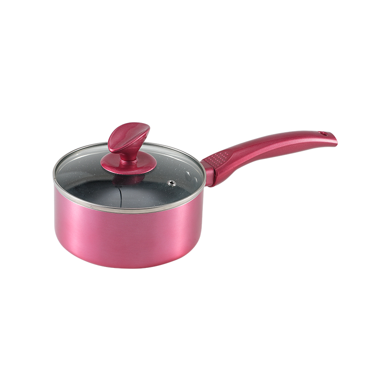 WT-MP011 Elegant Induction Bottom Forged Saucepan